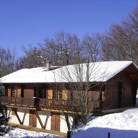 Appartement Chalet Renove 6 Pers Avec Terrasse Proche Evian, Ski Et Randonnee - Fr-1-498-29 Saint-Paul-en-Chablais Buitenkant foto