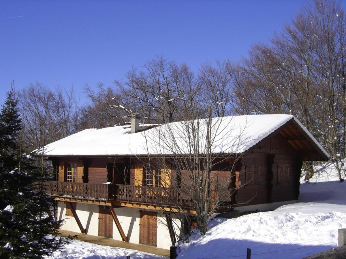 Appartement Chalet Renove 6 Pers Avec Terrasse Proche Evian, Ski Et Randonnee - Fr-1-498-29 Saint-Paul-en-Chablais Buitenkant foto