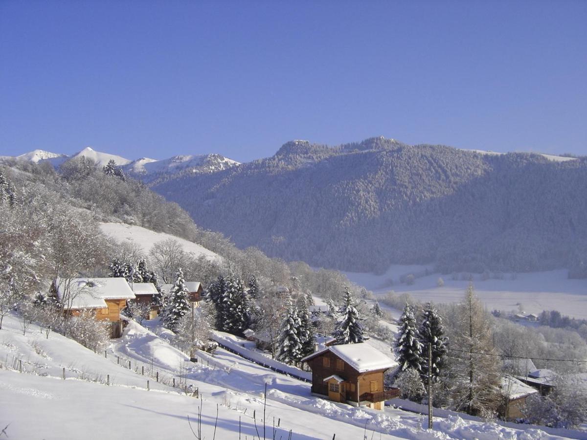 Appartement Chalet Renove 6 Pers Avec Terrasse Proche Evian, Ski Et Randonnee - Fr-1-498-29 Saint-Paul-en-Chablais Buitenkant foto